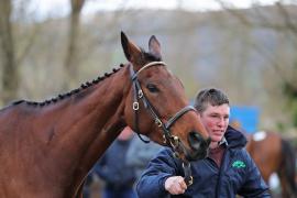 Paddy Thurley and My Whirlwind (IRE)