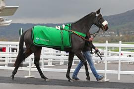 Boomtime Banker (IRE) 