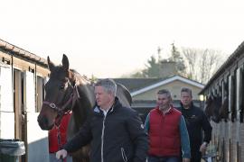 BOLD CONDUCT (IRE) 