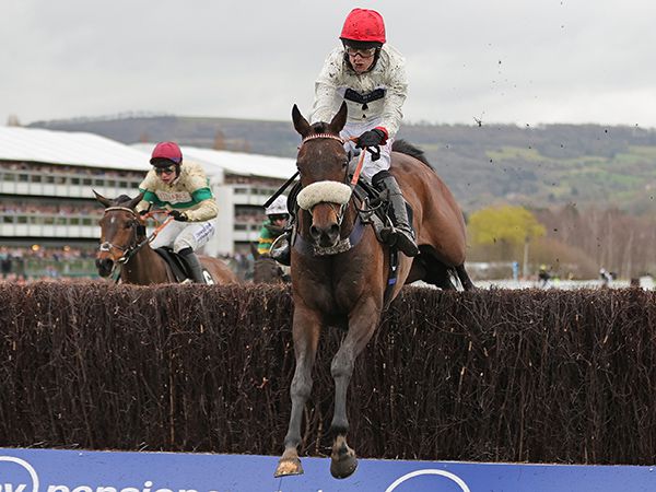Chianti Classico: back in good form after his fabulous win in the Ultima Chase at The Festival 