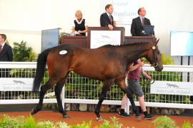 Desirable Court (IRE) 