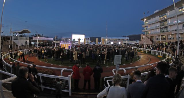 Selling for the Tattersalls Cheltenham Festival Sale takes place  in the Cheltenham winners' enclosure and starts after racing on March 14 