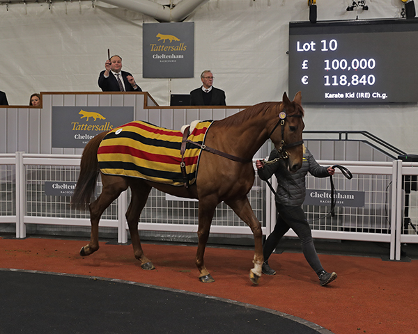 KARATE KID (Lot 10): Tessa Greatrex of Highflyer Bloodstock spent £100,000 on this son of Spanish Moon